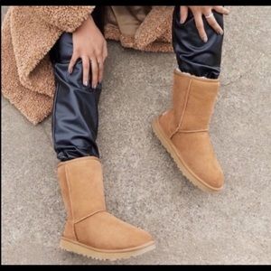 UGG 🔴 Classic Chestnut Short Ugg